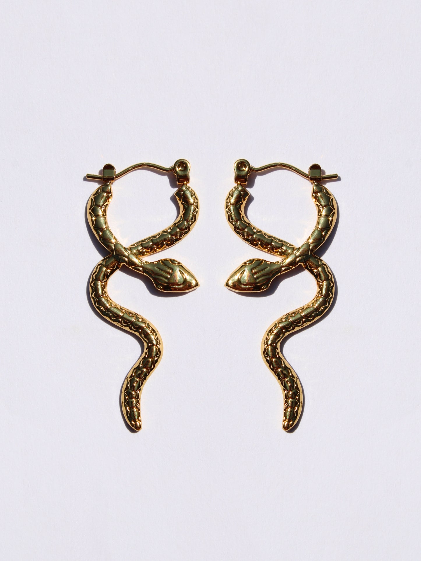 Aretes Serpiente Enroscada